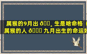 属猴的9月出 🌸 生是啥命格（属猴的人 🐛 九月出生的命运好不好）